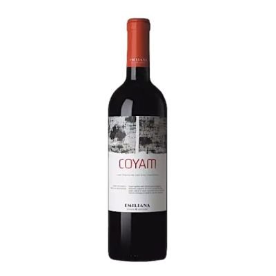 Vino Tinto 750 ml (Coyam) (copia)