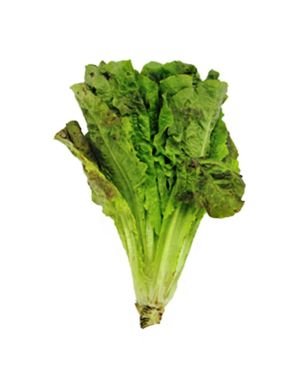 Lechuga pza